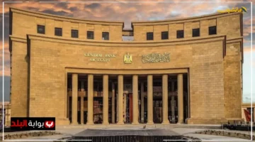 تخطت الـ 49 مليار دولار.. البنك المركزي يكشف عن مستوى جديد للاحتياطيات الأجنبية يرسخ الثقة بالاقتصاد خلال أغسطس 2025 1